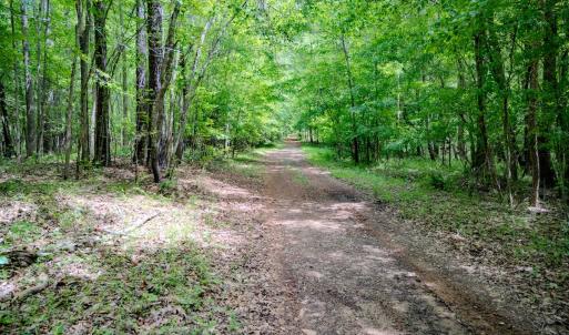 Photo #70 of Womack Rd. , Broadway, NC 715.9 acres