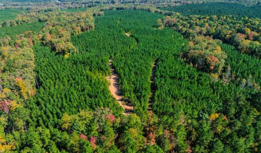 Photo #72 of Womack Rd. , Broadway, NC 715.9 acres