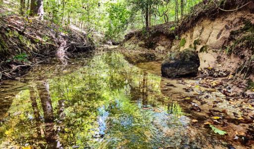 Photo #74 of Womack Rd. , Broadway, NC 715.9 acres