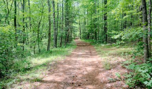 Photo #79 of Womack Rd. , Broadway, NC 715.9 acres