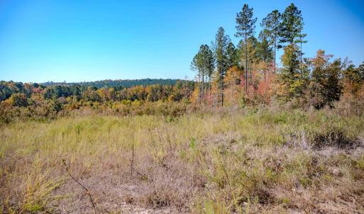 Photo #81 of Womack Rd. , Broadway, NC 715.9 acres