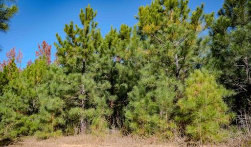 Photo #82 of Womack Rd. , Broadway, NC 715.9 acres