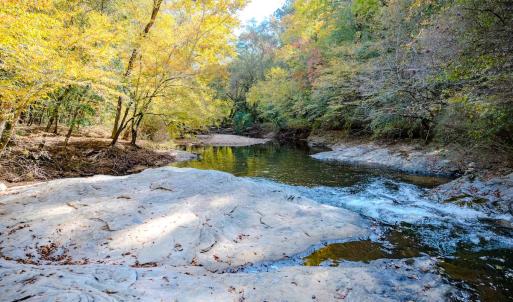 Photo #84 of Womack Rd. , Broadway, NC 715.9 acres