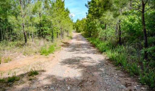 Photo #86 of Womack Rd. , Broadway, NC 715.9 acres