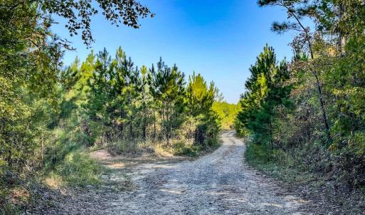 Photo #87 of Womack Rd. , Broadway, NC 715.9 acres