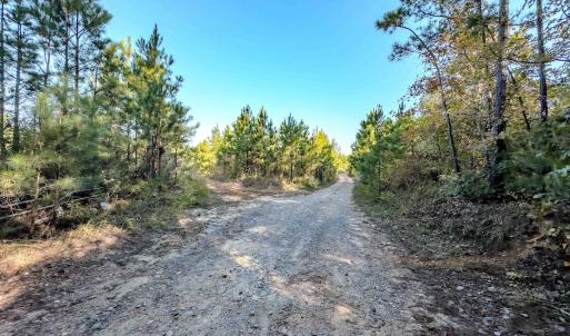 Photo #88 of Womack Rd. , Broadway, NC 715.9 acres