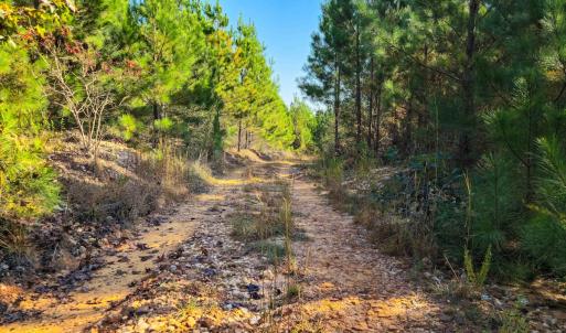 Photo #91 of Womack Rd. , Broadway, NC 715.9 acres