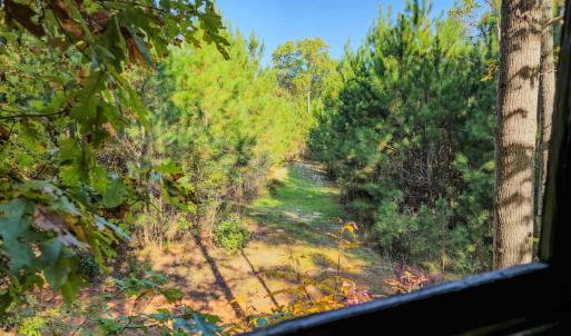 Photo #93 of Womack Rd. , Broadway, NC 715.9 acres