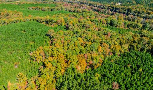 Photo #97 of Womack Rd. , Broadway, NC 715.9 acres