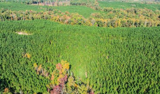Photo #98 of Womack Rd. , Broadway, NC 715.9 acres