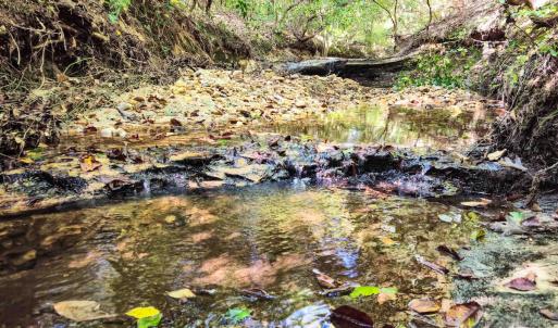 Photo #100 of Womack Rd. , Broadway, NC 715.9 acres