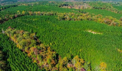 Photo #103 of Womack Rd. , Broadway, NC 715.9 acres