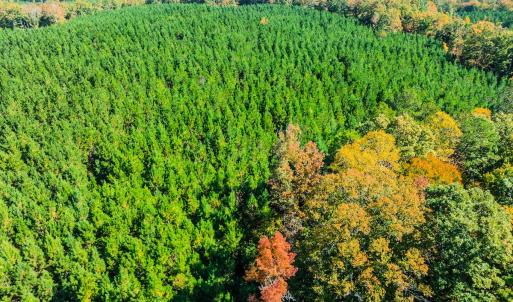 Photo #101 of Womack Rd. , Broadway, NC 715.9 acres