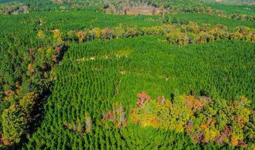 Photo #102 of Womack Rd. , Broadway, NC 715.9 acres