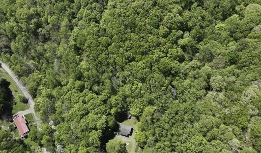 Photo #1 of 8106 Rich Patch Rd, Covington, VA 40.9 acres