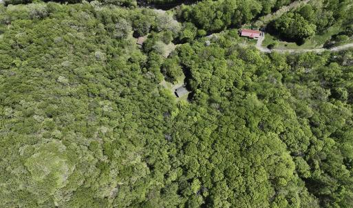 Photo #2 of 8106 Rich Patch Rd, Covington, VA 40.9 acres