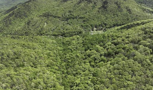 Photo #4 of 8106 Rich Patch Rd, Covington, VA 40.9 acres