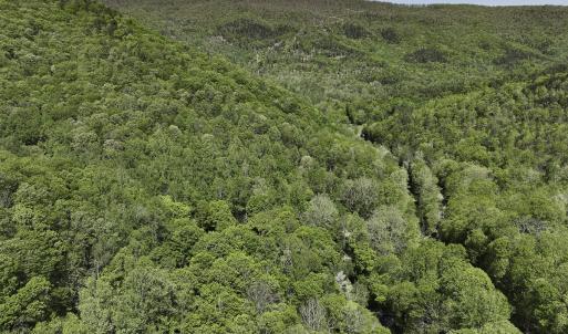 Photo #5 of 8106 Rich Patch Rd, Covington, VA 40.9 acres