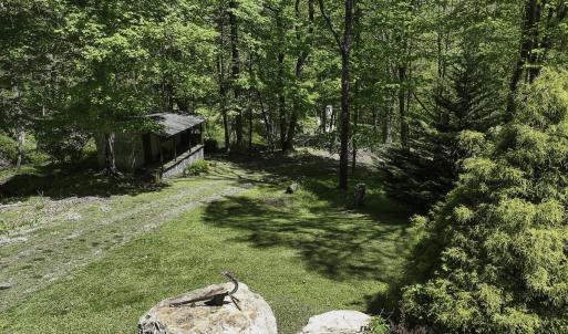 Photo #33 of 8106 Rich Patch Rd, Covington, VA 40.9 acres