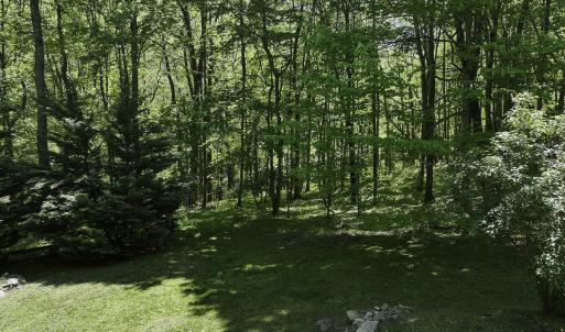 Photo #35 of 8106 Rich Patch Rd, Covington, VA 40.9 acres