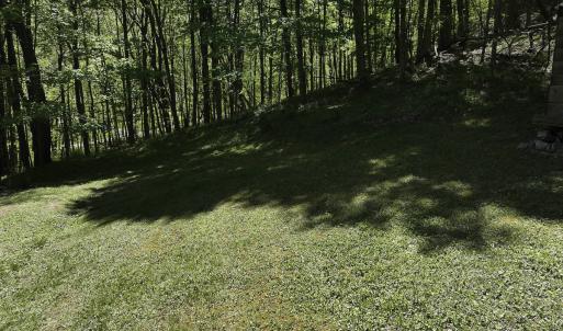 Photo #36 of 8106 Rich Patch Rd, Covington, VA 40.9 acres
