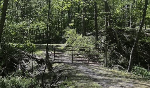 Photo #37 of 8106 Rich Patch Rd, Covington, VA 40.9 acres