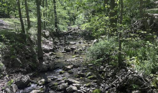 Photo #38 of 8106 Rich Patch Rd, Covington, VA 40.9 acres