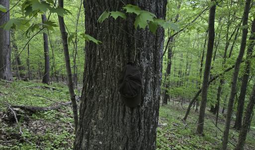 Photo #40 of 8106 Rich Patch Rd, Covington, VA 40.9 acres