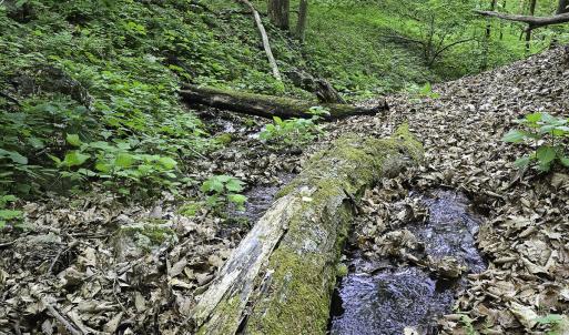 Photo #54 of 8106 Rich Patch Rd, Covington, VA 40.9 acres