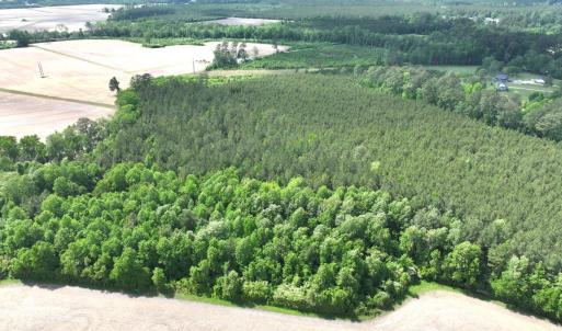 Photo #10 of Off Eds Grocery Road, Williamston, NC 17.2 acres