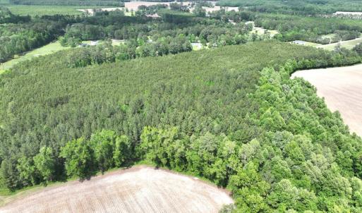 Photo #11 of Off Eds Grocery Road, Williamston, NC 17.2 acres