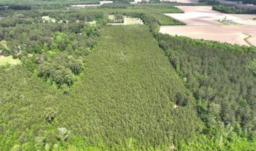Photo #12 of Off Eds Grocery Road, Williamston, NC 17.2 acres
