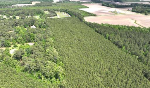 Photo #13 of Off Eds Grocery Road, Williamston, NC 17.2 acres