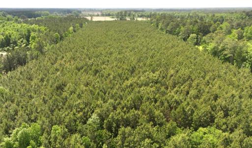 Photo #15 of Off Eds Grocery Road, Williamston, NC 17.2 acres