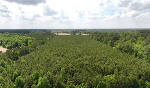 Photo #17 of Off Eds Grocery Road, Williamston, NC 17.2 acres