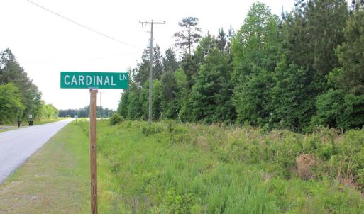 Photo #18 of Off Eds Grocery Road, Williamston, NC 17.2 acres