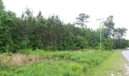 Photo #19 of Off Eds Grocery Road, Williamston, NC 17.2 acres