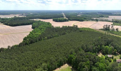 Photo #3 of Off Eds Grocery Road, Williamston, NC 17.2 acres