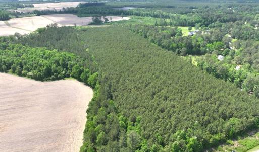 Photo #6 of Off Eds Grocery Road, Williamston, NC 17.2 acres