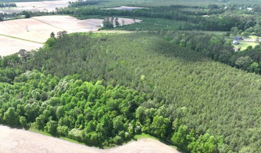 Photo #7 of Off Eds Grocery Road, Williamston, NC 17.2 acres