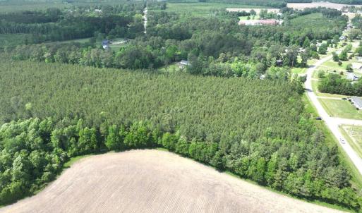 Photo #9 of Off Eds Grocery Road, Williamston, NC 17.2 acres