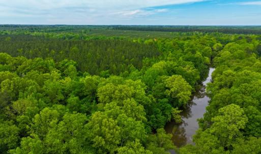 Photo #10 of Off Western Mill Rd, Lawrenceville, VA 207.9 acres