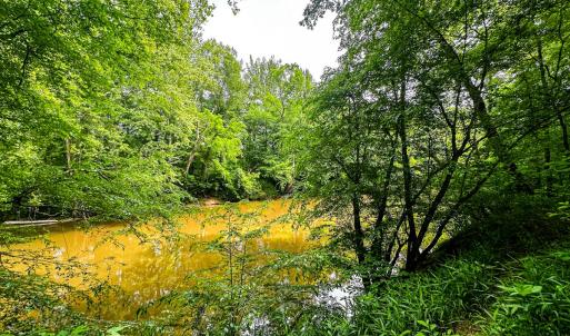 Photo #11 of Off Western Mill Rd, Lawrenceville, VA 207.9 acres