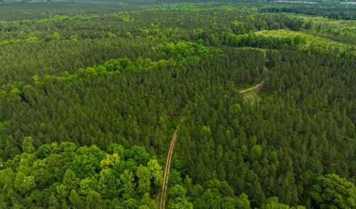 Photo #13 of Off Western Mill Rd, Lawrenceville, VA 207.9 acres