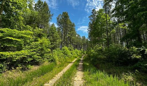 Photo #14 of Off Western Mill Rd, Lawrenceville, VA 207.9 acres