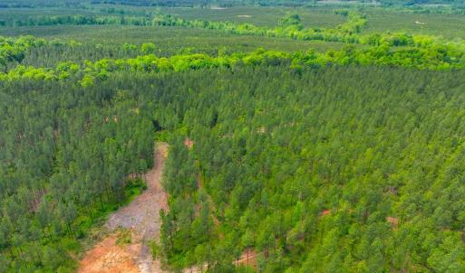 Photo #16 of Off Western Mill Rd, Lawrenceville, VA 207.9 acres