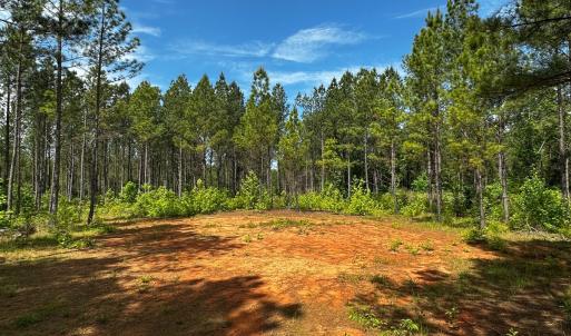 Photo #17 of Off Western Mill Rd, Lawrenceville, VA 207.9 acres