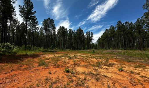 Photo #18 of Off Western Mill Rd, Lawrenceville, VA 207.9 acres