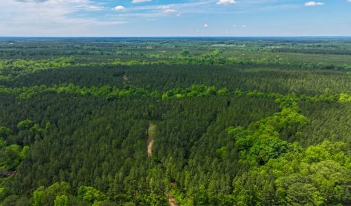 Photo #2 of Off Western Mill Rd, Lawrenceville, VA 207.9 acres