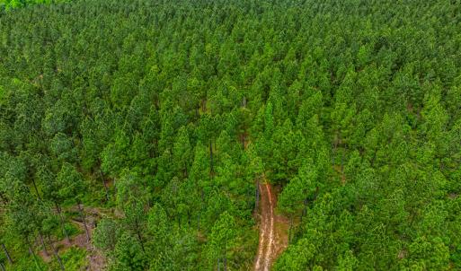 Photo #20 of Off Western Mill Rd, Lawrenceville, VA 207.9 acres